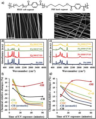 Ultraviolet Functionalization of Electrospun Scaffolds to Activate Fibrous Runways for Targeting Cell Adhesion